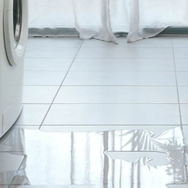 Appliance Leak Cleanup in Chetek, WI