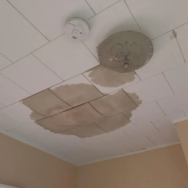Ceiling Water Damage Repair in Chetek, WI