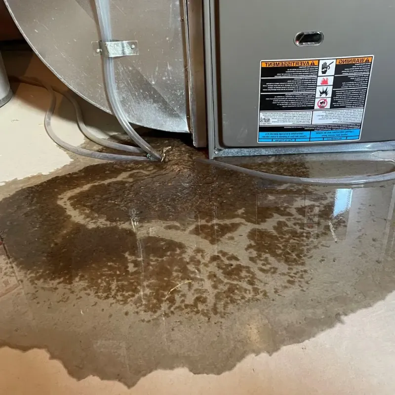 Pipe Burst and Leak Restoration in Chetek, WI