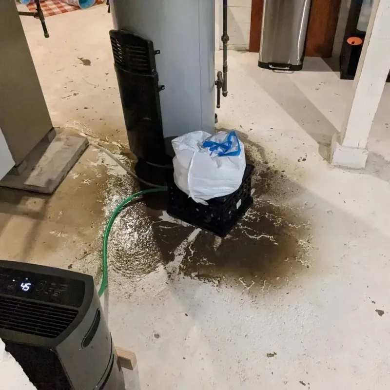 Sewage Backup Cleanup Service in Chetek, WI